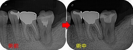 2024 EEdental KOE (2).jpg