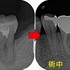 2024 EEdental KOE (2).jpg