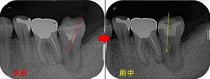 2024 EEdental KOE (4).jpg