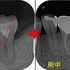 2024 EEdental KOE (4).jpg