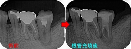 2024 EEdental KOE (5).jpg