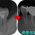 2024 EEdental KOE (5).jpg