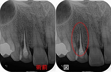 2024 EEdental MAE (1).jpg