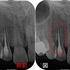 2024 EEdental MAE (1).jpg