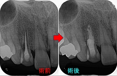 2024 EEdental MAE (2).jpg