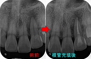 2024 EEdental NA  (2).jpg