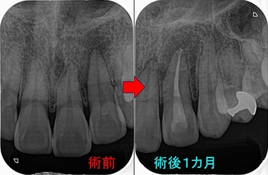 2024 EEdental NA  (3).jpg