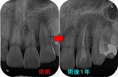 2024 EEdental NA  (4).jpg