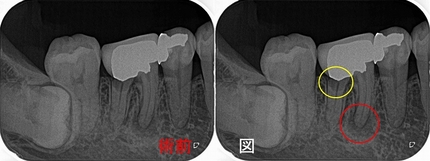 2024 EEdental TKA (1).jpg