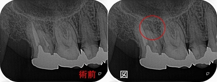 2024 EEdental YAK (1).jpg