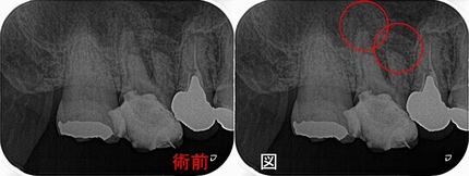 2024 EEdental HT (1).jpg