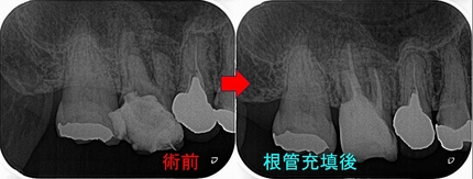 2024 EEdental HT (2).jpg