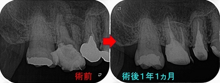 2024 EEdental HT (3).jpg