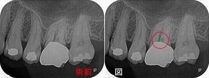 2024 EEdental HTI (1).jpg