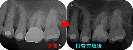 2024 EEdental HTI (2).jpg