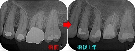 2024 EEdental HTI (3).jpg