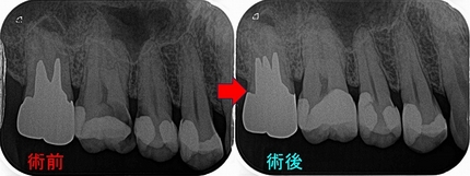 2024 EEdental IAK (2).jpg