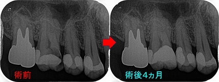 2024 EEdental IAK (3).jpg