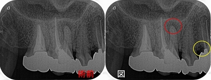 2024 EEdental IW (1).jpg