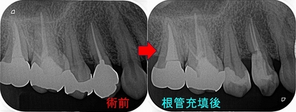 2024 EEdental IW (2).jpg