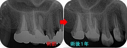 2024 EEdental IW (3).jpg