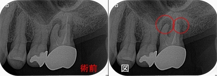 2024 EEdental OO (1).jpg