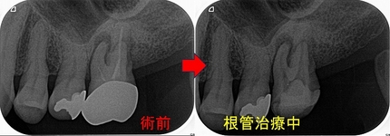 2024 EEdental OO (2).jpg