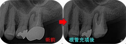 2024 EEdental OO (3).jpg