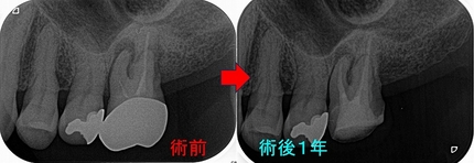 2024 EEdental OO (4).jpg