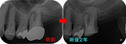 2024 EEdental OO (5).jpg