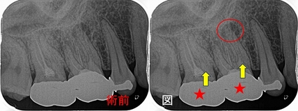 2024 EEdental TOR (1).jpg