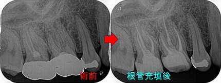 2024 EEdental TOR (2).jpg