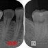 2024 EEdental TTI (1).jpg