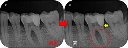 2024 EEdental YAA (1).jpg