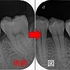 2024 EEdental YAA (1).jpg