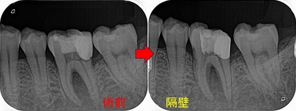 2024 EEdental YAA (2).jpg