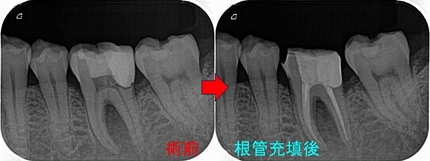 2024 EEdental YAA (3).jpg