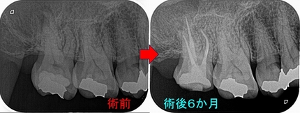 2024 EEdental KAO (2).jpg