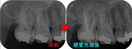 2024 EEdental KAO (3).jpg