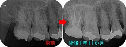 2024 EEdental KAO (4).jpg