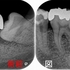 2024 EEdental MaY (1).jpg