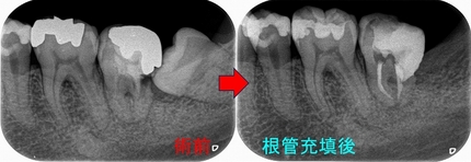 2024 EEdental MaY (2).jpg