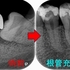 2024 EEdental MaY (2).jpg