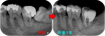 2024 EEdental MaY (3).jpg