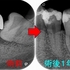 2024 EEdental MaY (3).jpg