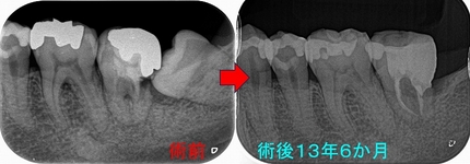 2024 EEdental MaY (4).jpg