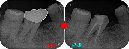 2024 EEdental OZU.jpg