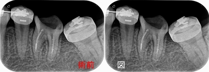 2024 EEdental TYU (1).jpg