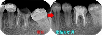 2024 EEdental TYU (4).jpg