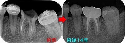 2024 EEdental TYU (5).jpg